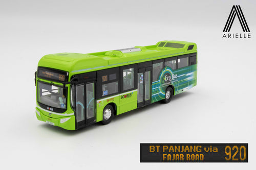 Singapore Bus - Volvo B5LH - Lush Green Eco-Bus SMRT Svc. 920